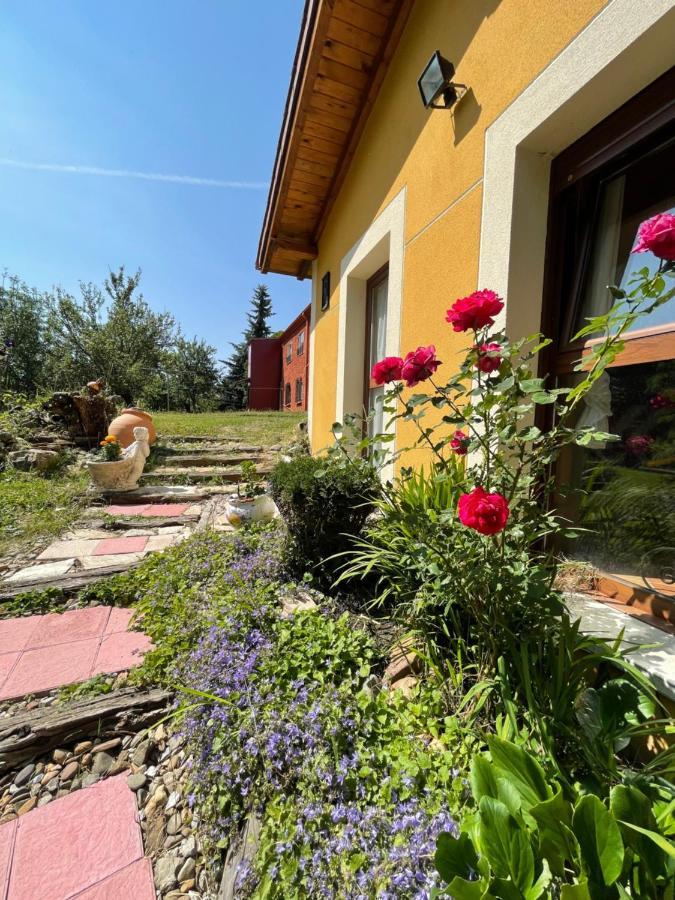 Hostel Arenos Velilla del Rio Carrion ภายนอก รูปภาพ